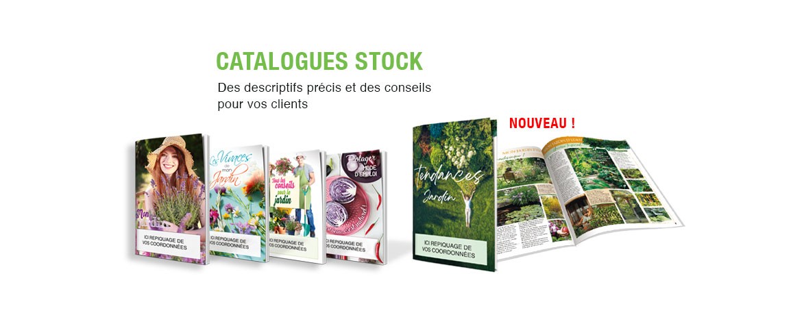 catalogues-stock